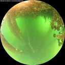 ./images/calvert/underwater/20260614/underwater20260614_100501M.jpg