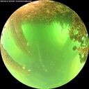 ./images/calvert/underwater/20260614/underwater20260614_101001M.jpg