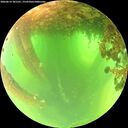./images/calvert/underwater/20260614/underwater20260614_101501M.jpg