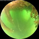 ./images/calvert/underwater/20260614/underwater20260614_102002M.jpg