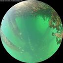 ./images/calvert/underwater/20260614/underwater20260614_104001M.jpg