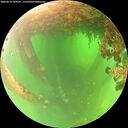 ./images/calvert/underwater/20260614/underwater20260614_104501M.jpg