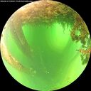 ./images/calvert/underwater/20260614/underwater20260614_110501M.jpg