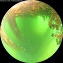 ./images/calvert/underwater/20260614/underwater20260614_111001M.jpg