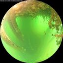 ./images/calvert/underwater/20260614/underwater20260614_112001M.jpg