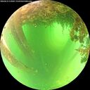 ./images/calvert/underwater/20260614/underwater20260614_113001M.jpg