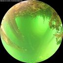 ./images/calvert/underwater/20260614/underwater20260614_113501M.jpg