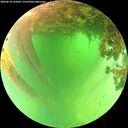 ./images/calvert/underwater/20260614/underwater20260614_124501M.jpg