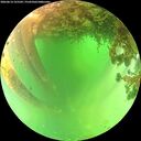 ./images/calvert/underwater/20260614/underwater20260614_125502M.jpg