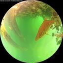./images/calvert/underwater/20260614/underwater20260614_130501M.jpg