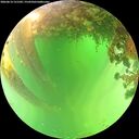 ./images/calvert/underwater/20260614/underwater20260614_131502M.jpg