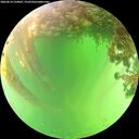 ./images/calvert/underwater/20260614/underwater20260614_134001M.jpg