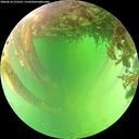 ./images/calvert/underwater/20260614/underwater20260614_135501M.jpg