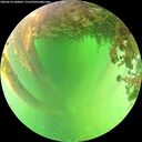 ./images/calvert/underwater/20260614/underwater20260614_140001M.jpg
