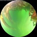 ./images/calvert/underwater/20260614/underwater20260614_141001M.jpg