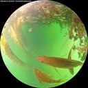 ./images/calvert/underwater/20260614/underwater20260614_143501M.jpg