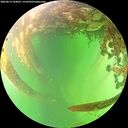 ./images/calvert/underwater/20260614/underwater20260614_144001M.jpg