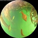 ./images/calvert/underwater/20260614/underwater20260614_145502M.jpg