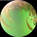./images/calvert/underwater/20260614/underwater20260614_152501M.jpg
