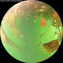 ./images/calvert/underwater/20260614/underwater20260614_160001M.jpg