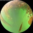 ./images/calvert/underwater/20260614/underwater20260614_160501M.jpg