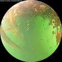 ./images/calvert/underwater/20260614/underwater20260614_161001M.jpg