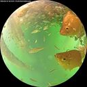 ./images/calvert/underwater/20260614/underwater20260614_161501M.jpg