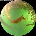 ./images/calvert/underwater/20260614/underwater20260614_164002M.jpg