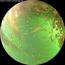 ./images/calvert/underwater/20260614/underwater20260614_164501M.jpg