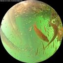 ./images/calvert/underwater/20260614/underwater20260614_171001M.jpg