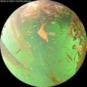 ./images/calvert/underwater/20260614/underwater20260614_172001M.jpg