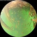 ./images/calvert/underwater/20260614/underwater20260614_172501M.jpg