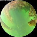 ./images/calvert/underwater/20260614/underwater20260614_181001M.jpg