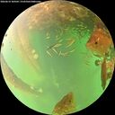 ./images/calvert/underwater/20260614/underwater20260614_184501M.jpg