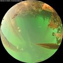 ./images/calvert/underwater/20260614/underwater20260614_190001M.jpg