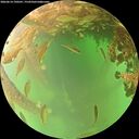 ./images/calvert/underwater/20260614/underwater20260614_190501M.jpg