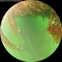 ./images/calvert/underwater/20260614/underwater20260614_191501M.jpg