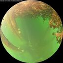 ./images/calvert/underwater/20260614/underwater20260614_194002M.jpg