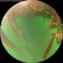 ./images/calvert/underwater/20260614/underwater20260614_201501M.jpg