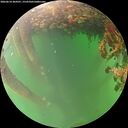 ./images/calvert/underwater/20260614/underwater20260614_204501M.jpg