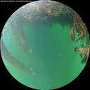 ./images/calvert/underwater/20260614/underwater20260614_205001M.jpg