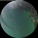 ./images/calvert/underwater/20260614/underwater20260614_215001M.jpg
