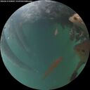 ./images/calvert/underwater/20260614/underwater20260614_220001M.jpg