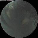 ./images/calvert/underwater/20260614/underwater20260614_222501M.jpg