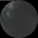 ./images/calvert/underwater/20260614/underwater20260614_223501M.jpg