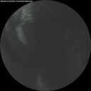 ./images/calvert/underwater/20260614/underwater20260614_224501M.jpg