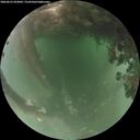 ./images/calvert/underwater/20260615/underwater20260615_053002M.jpg