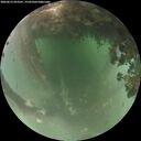 ./images/calvert/underwater/20260615/underwater20260615_053501M.jpg