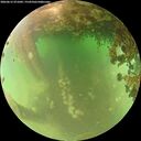 ./images/calvert/underwater/20260615/underwater20260615_071001M.jpg