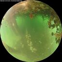 ./images/calvert/underwater/20260615/underwater20260615_071501M.jpg